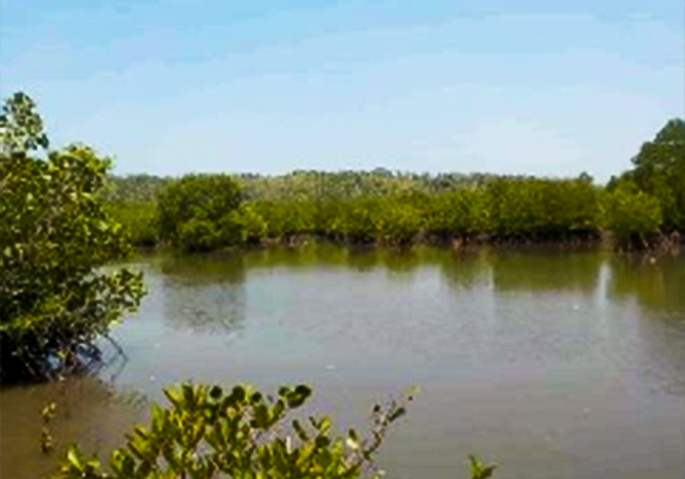 TANAH DI KAB. BULUKUMBA - WOFF793-2 - foto 2